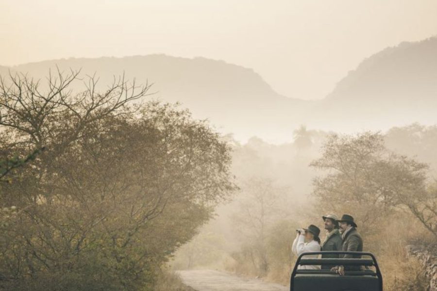 Wildlife safari