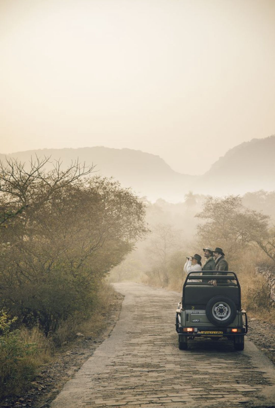 Wildlife safari